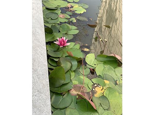廠房展示